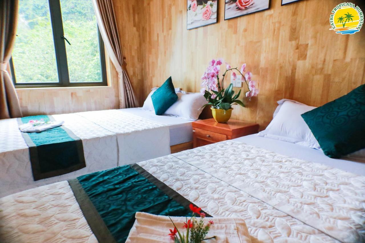 Cat Ba Tropicana Homestay Cat Ba Island Exteriér fotografie