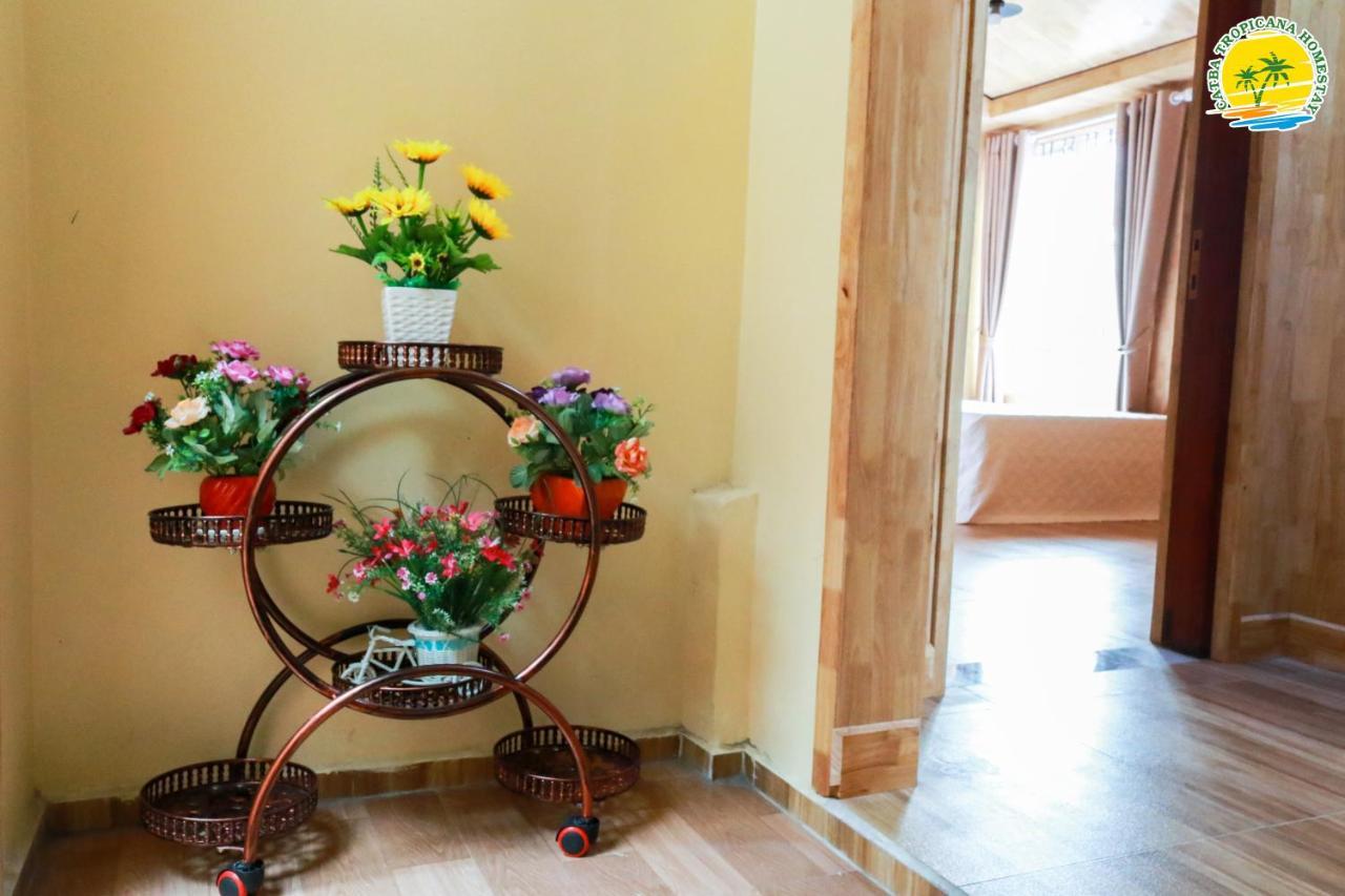 Cat Ba Tropicana Homestay Cat Ba Island Exteriér fotografie