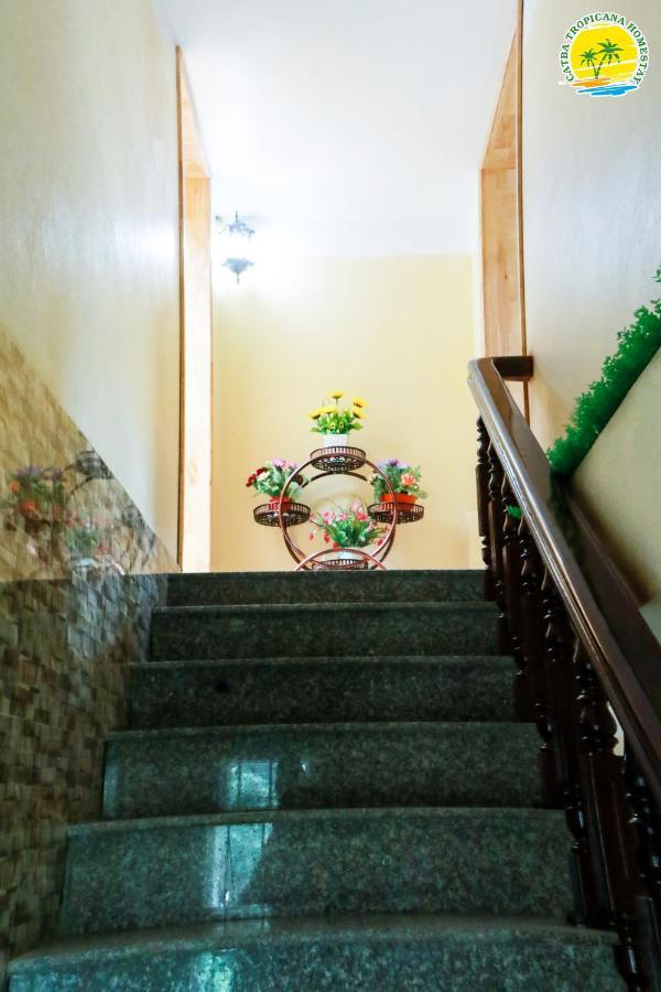 Cat Ba Tropicana Homestay Cat Ba Island Exteriér fotografie